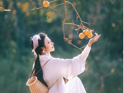 柿柿如意