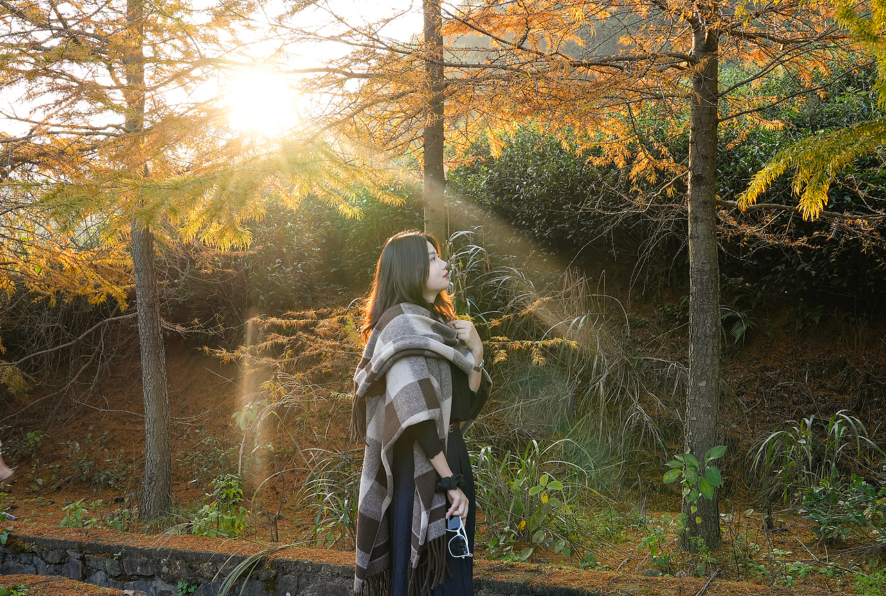 秋日物语 浙江-东白山