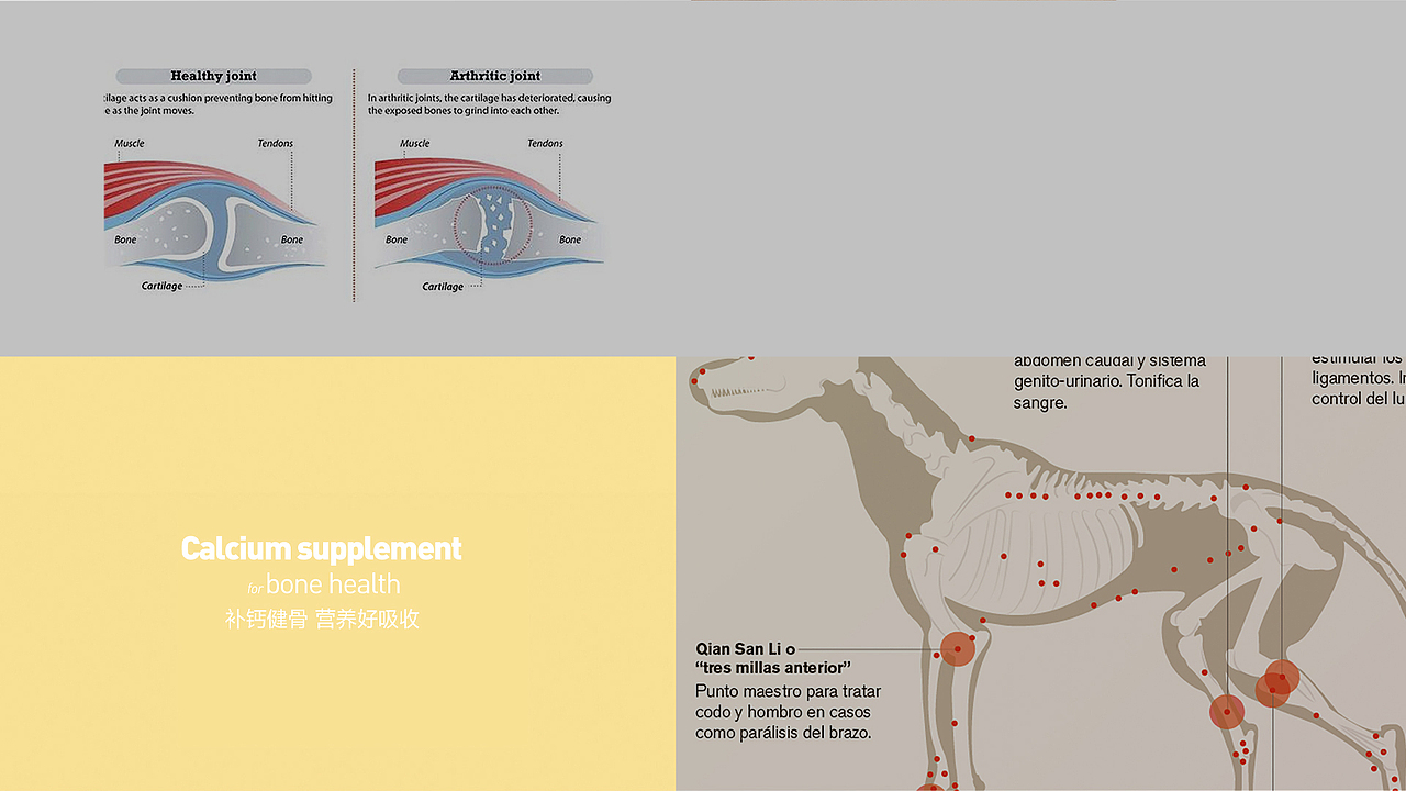 碧蓝德包装设计宠物包装宠物营养保健品包装宠物钙片
