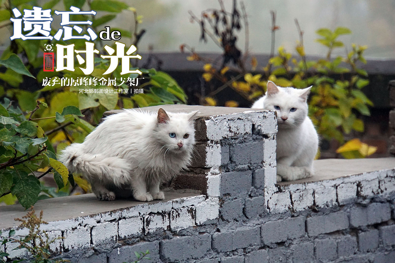 遗忘的时光 峰峰零三厂