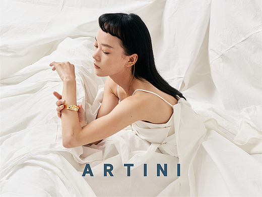 ARTINI 雅天妮品牌视觉全案