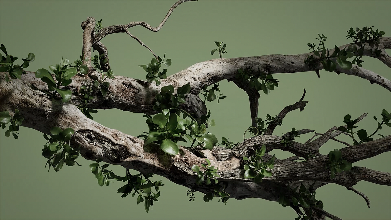 猫王音箱动画练习