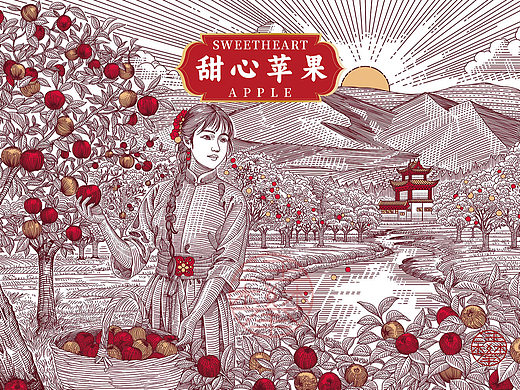 苹果包装插画设计/版画风格