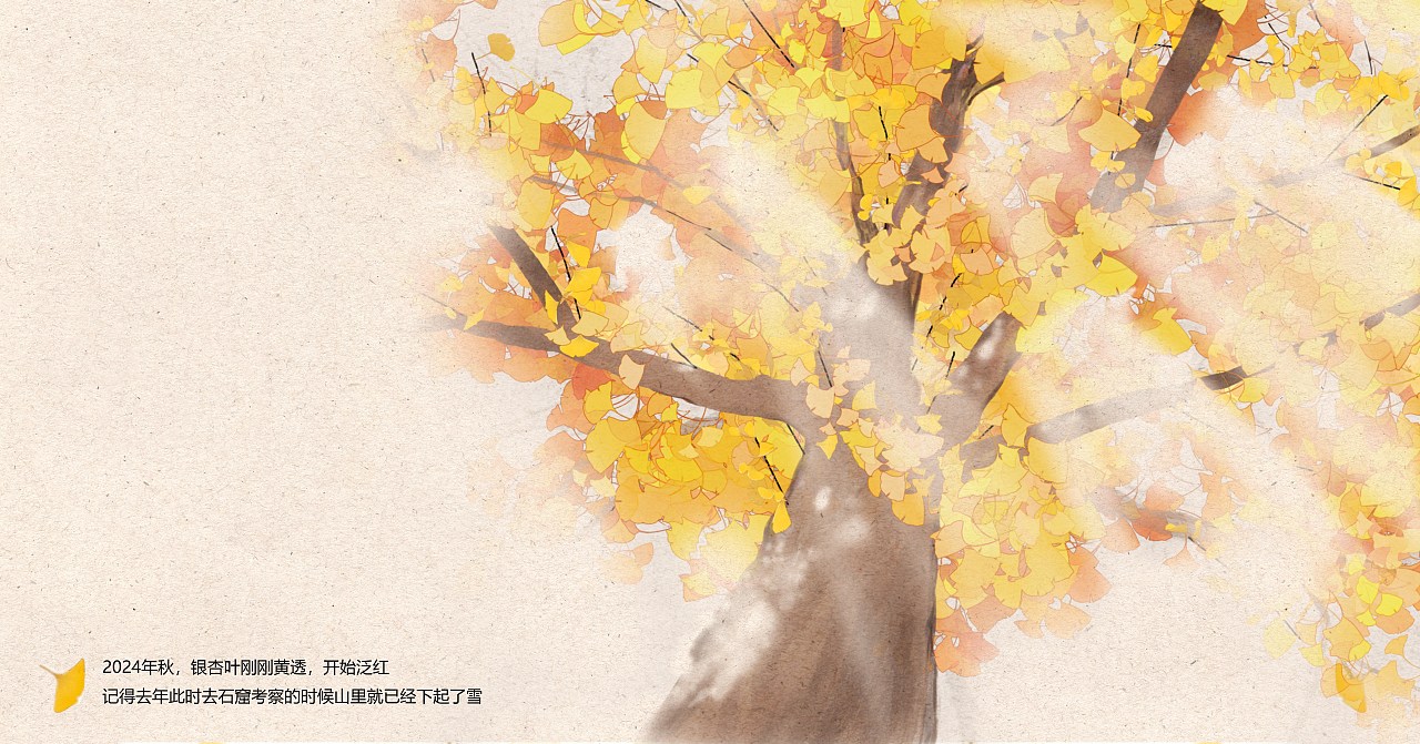 假如在秋天遇见一只猫