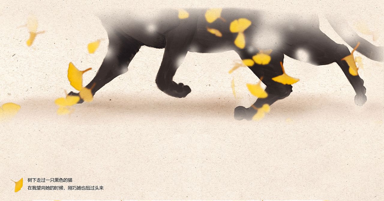 假如在秋天遇见一只猫
