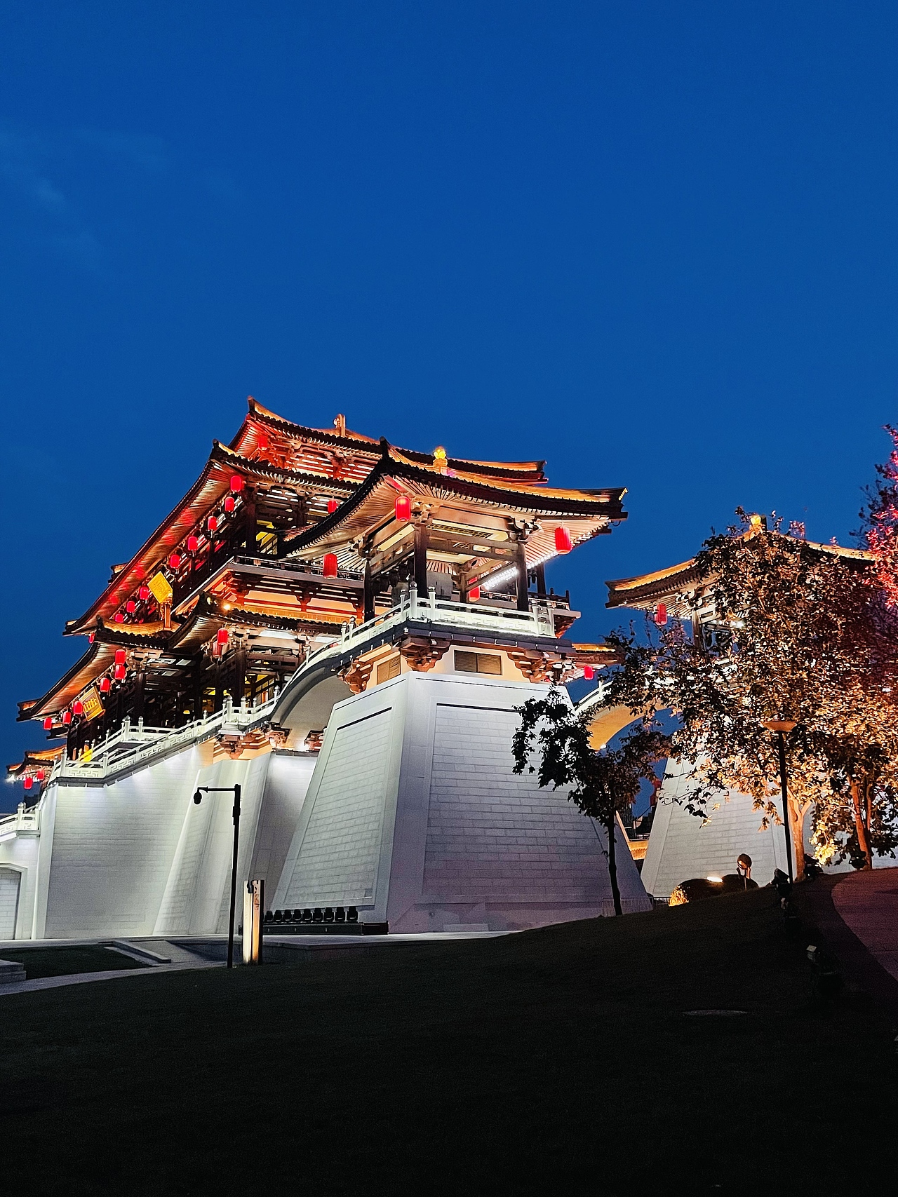 旅游/演唱会照片