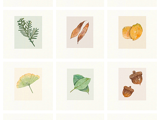 iPad水彩|落叶的季节，把秋天留下来🍃🍂🍁