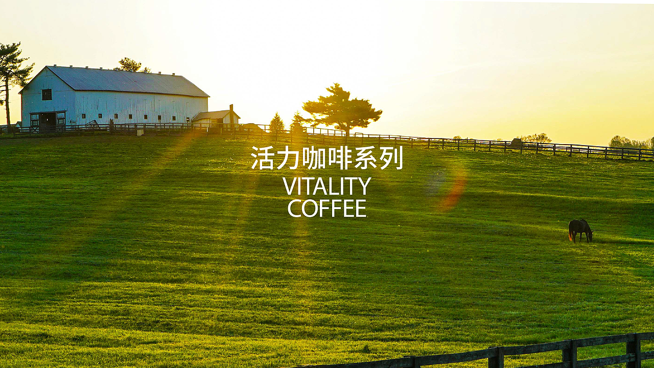 光采多 包装设计