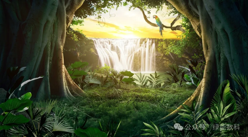 绿色低碳新时代：如何通过个人碳资产实现可持续生活（图ZMTQ5NTc3NDA=） - 观点 - 站酷设计师绿能数科原创素材 - 站酷ZCOOL