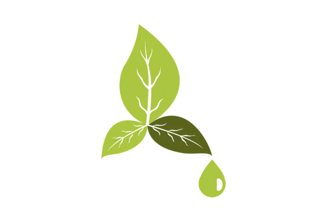 绿色低碳新时代：如何通过个人碳资产实现可持续生活（图ZMTQ5NTc3NDQ=） - 观点 - 站酷设计师绿能数科原创素材 - 站酷ZCOOL