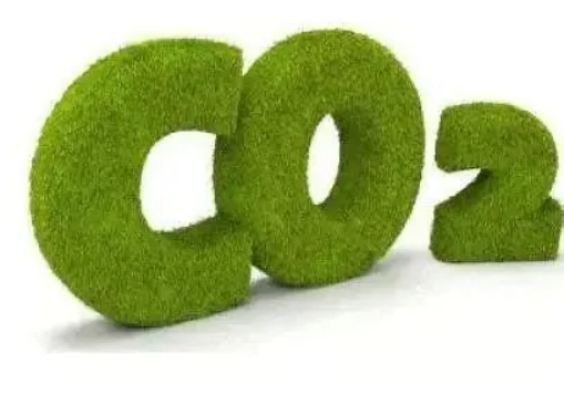 绿色低碳新时代：如何通过个人碳资产实现可持续生活（图ZMTQ5NTc3NTY=） - 观点 - 站酷设计师绿能数科原创素材 - 站酷ZCOOL