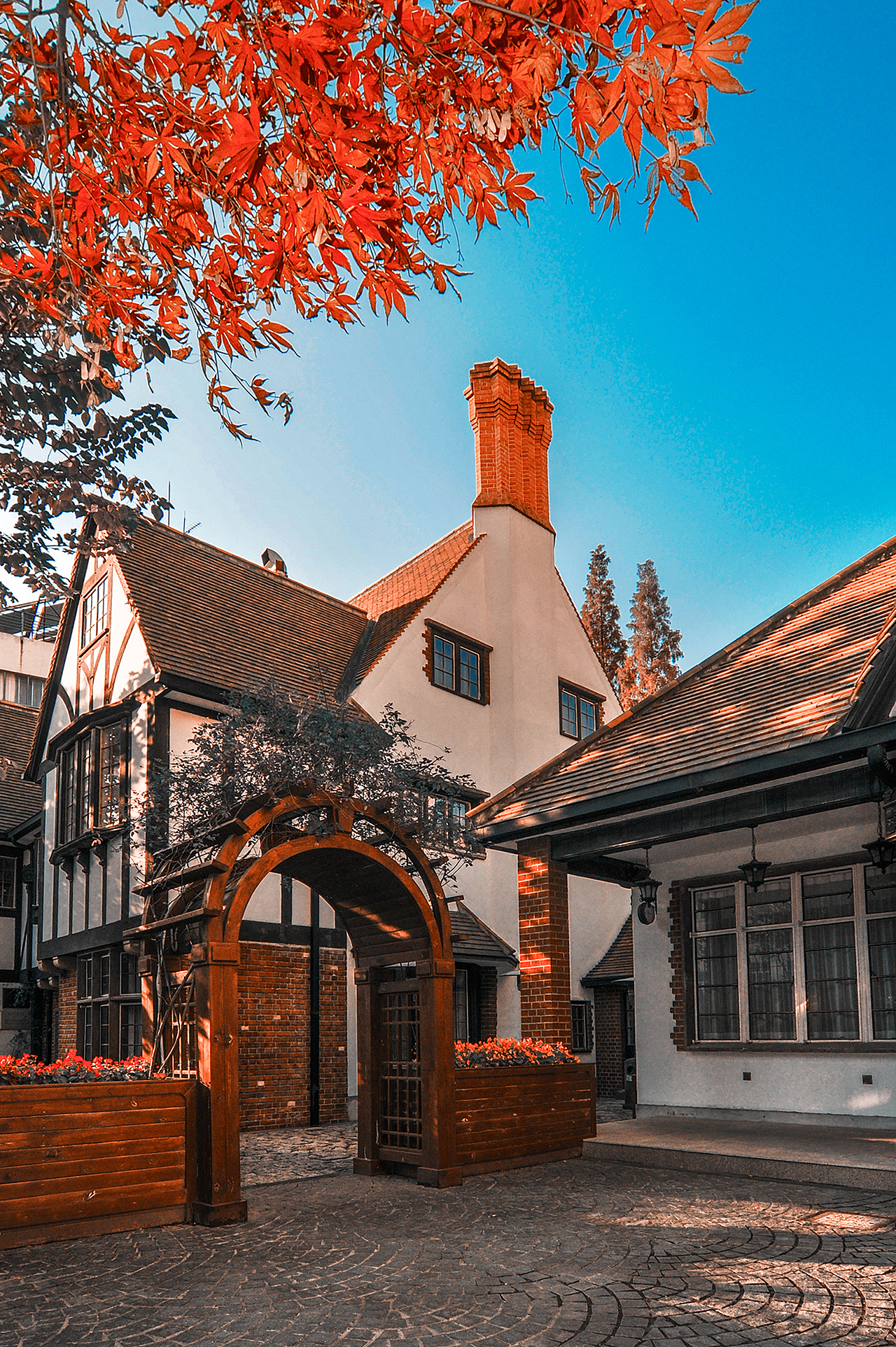 【都市街景】系列之23/建筑可阅读