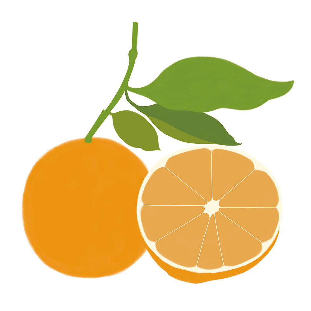 水果插画练习—橙子（图ZMzgxMTY4MTA4） - 创作习作 - 站酷设计师水月白原创素材 - 站酷ZCOOL