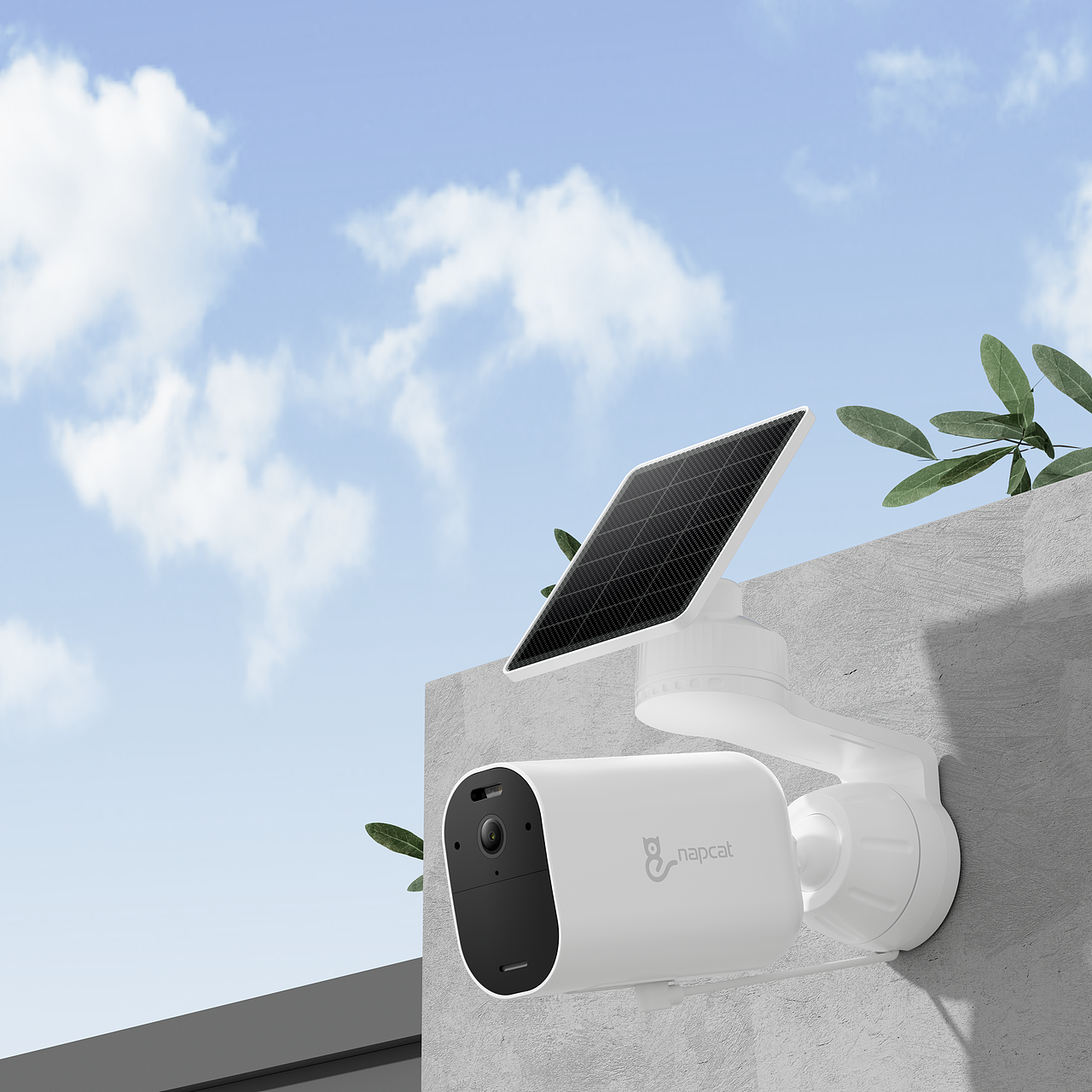 Napcat电池套装亚马逊渲染（图ZMzgxMTcyNDY0） - 产品 - 站酷设计师云端上的寒冬原创素材 - 站酷ZCOOL