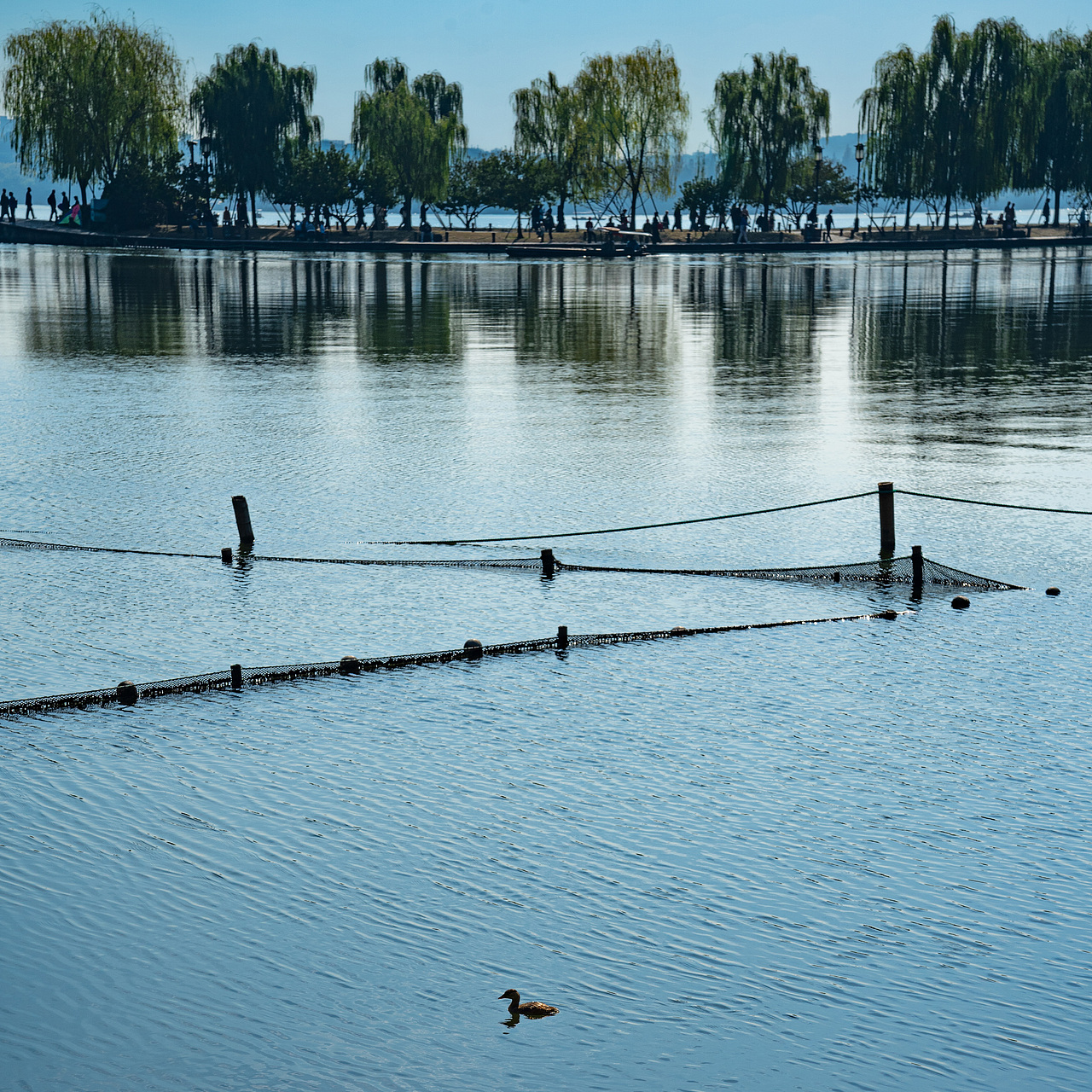 西湖（图ZMzgxMTc1ODI0） - 风光摄影 - 站酷设计师光影里的渔夫原创素材 - 站酷ZCOOL