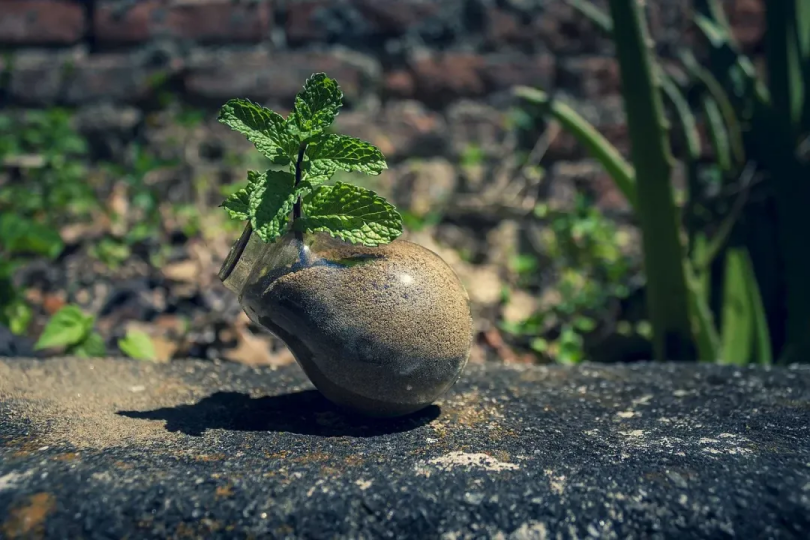 自愿碳市场与个人碳资产：迈向绿色经济的新路径（图ZMTQ5NTg0Njg=） - 观点 - 站酷设计师绿能数科原创素材 - 站酷ZCOOL