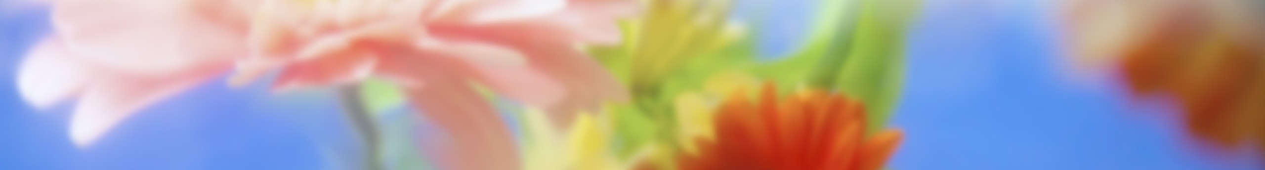 KIMD0401的個(gè)人主頁（封面預(yù)覽） - 主頁封面設(shè)置 - 站酷設(shè)計(jì)師KIMD0401原創(chuàng)素材 - 站酷ZCOOL