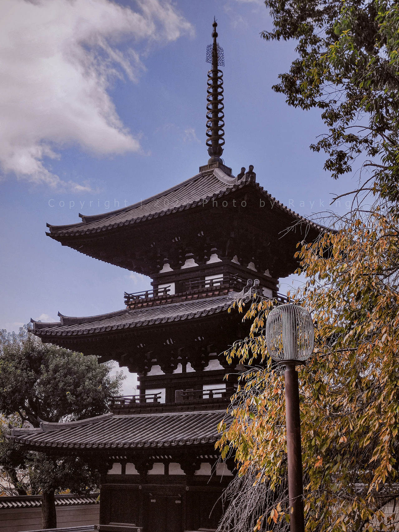 奈良|呦呦鹿鸣,仙苑神社(图ZMzgxMTkyMDA4) - 风光摄影 - 站酷设计师金钻子原创素材 - 站酷ZCOOL