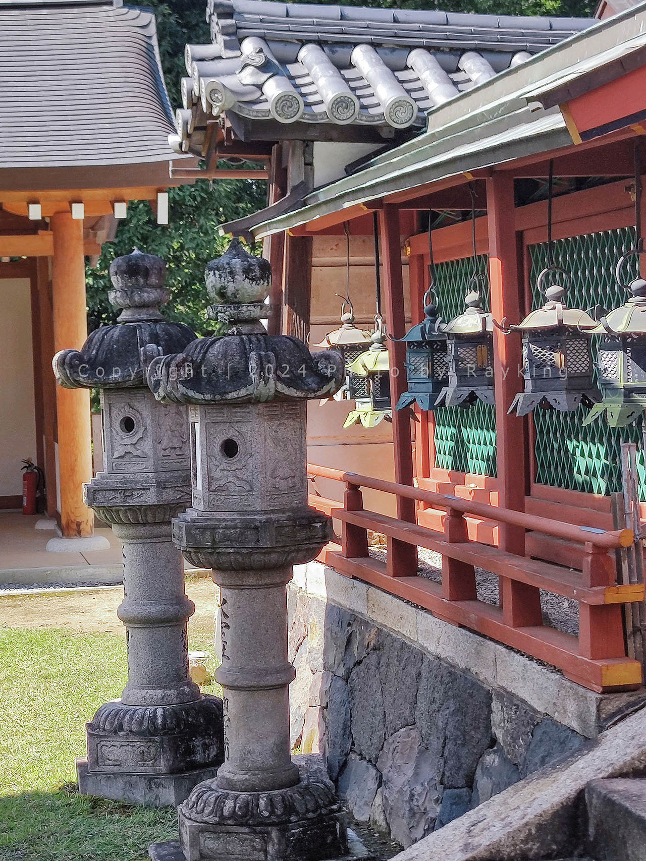 奈良|呦呦鹿鸣,仙苑神社(图ZMzgxMTkyMDE2) - 风光摄影 - 站酷设计师金钻子原创素材 - 站酷ZCOOL