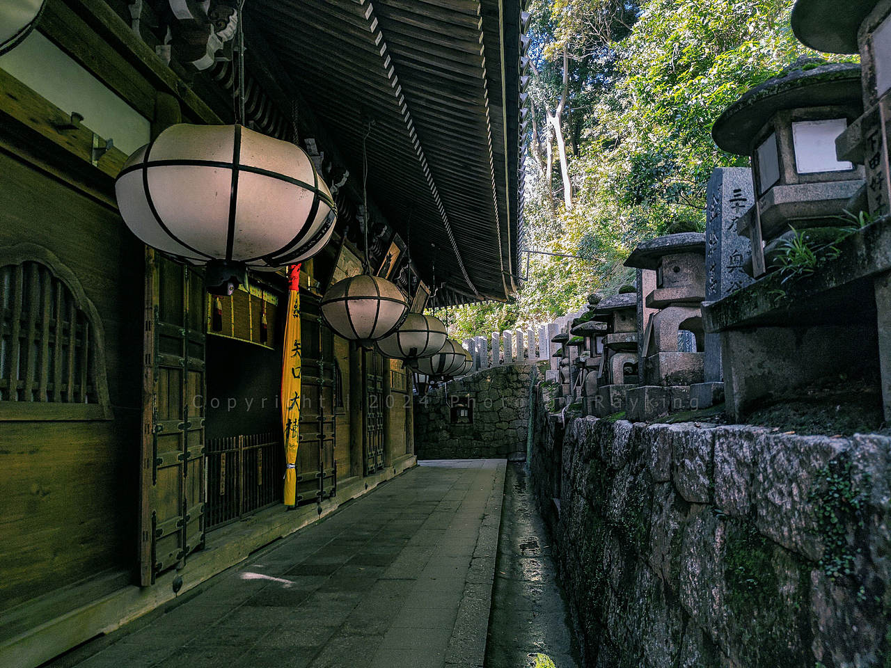 奈良|呦呦鹿鸣,仙苑神社(图ZMzgxMTkyMDQ4) - 风光摄影 - 站酷设计师金钻子原创素材 - 站酷ZCOOL