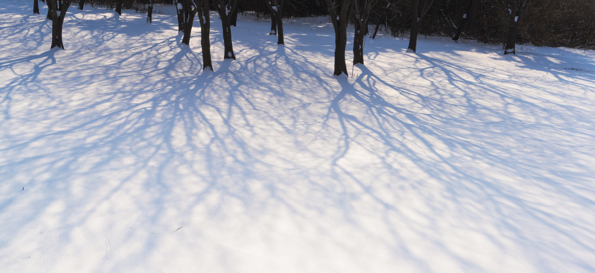 头发不卷的个人主页（封面预览） - 主页封面设置 - 站酷设计师头发不卷原创素材 - 站酷ZCOOL
