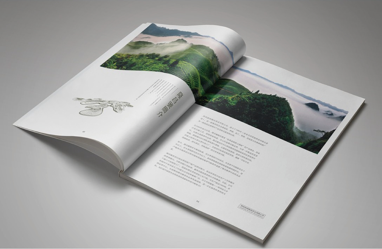 隆昌號西双版纳隆昌茶业有限公司2024-2025画册