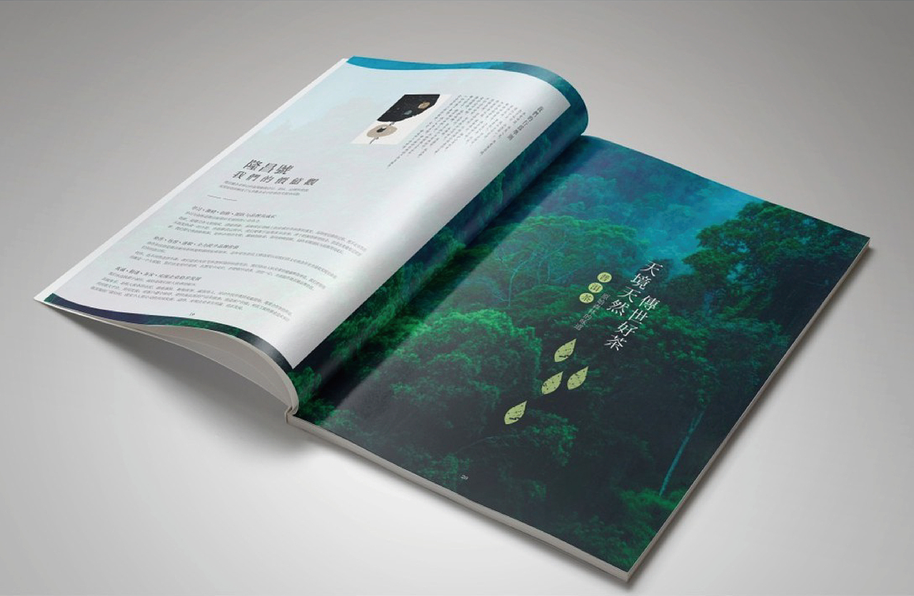 隆昌號西双版纳隆昌茶业有限公司2024-2025画册