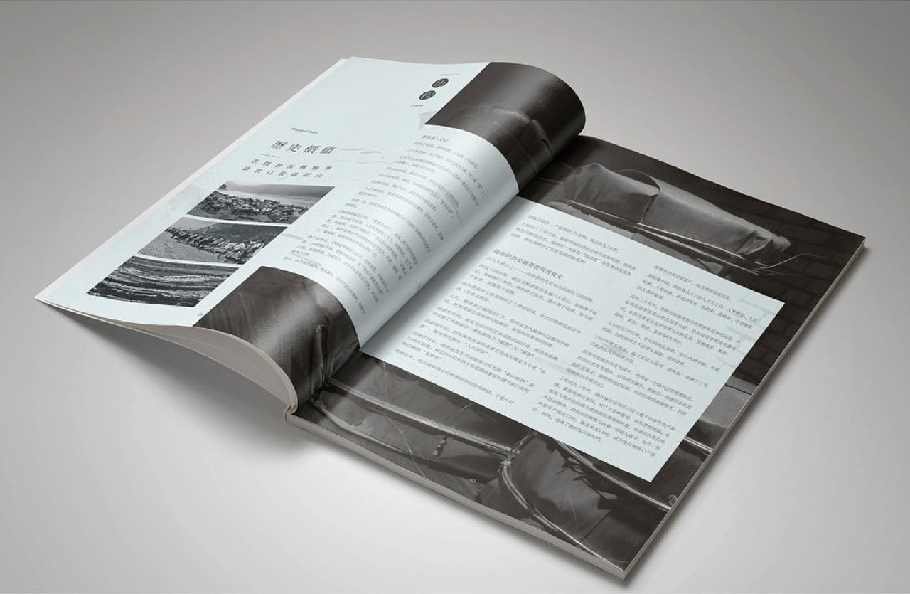 隆昌號西双版纳隆昌茶业有限公司2024-2025画册