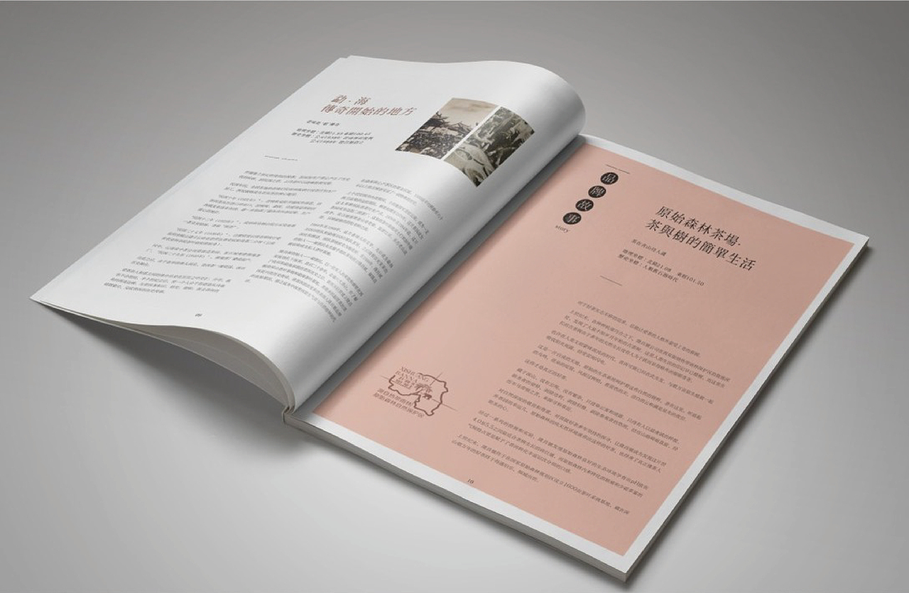 隆昌號西双版纳隆昌茶业有限公司2024-2025画册