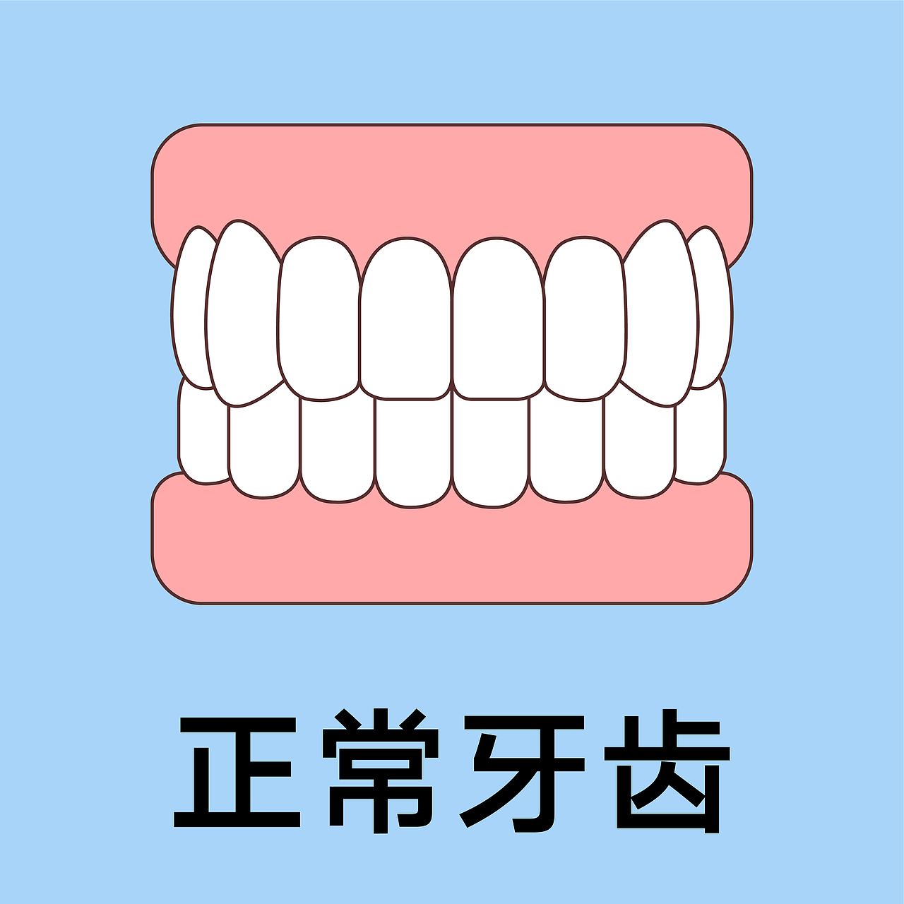 口腔 医美 牙齿类型 矫正 种植 牙齿轮廓（蓝色背景）（图ZMzgxMjM0NzAw） - 艺术插画 - 站酷设计师想想都开心原创素材 - 站酷ZCOOL