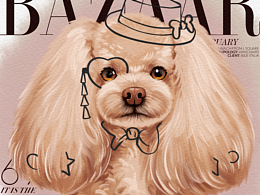 寵物時尚插畫頭像