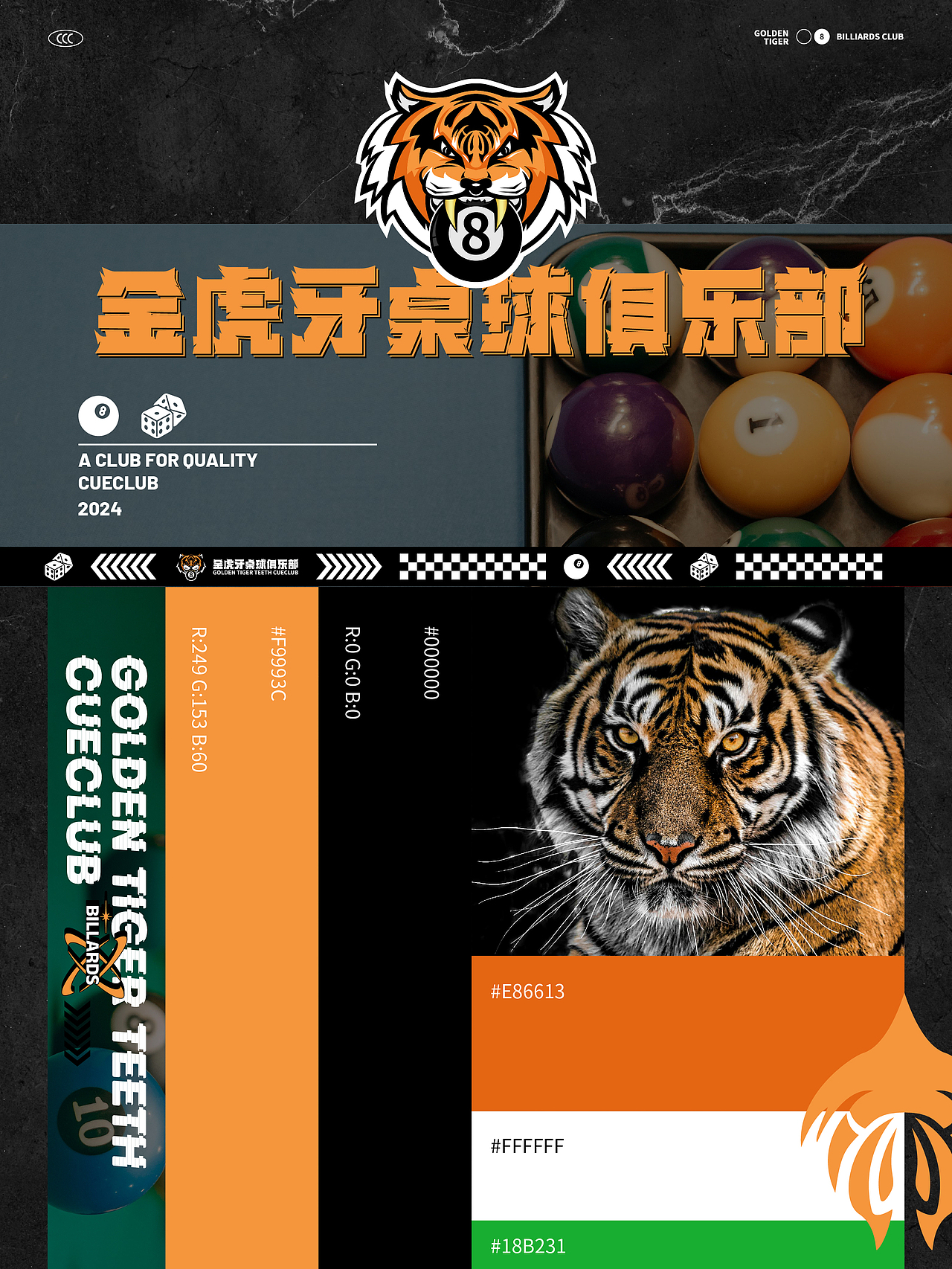 金虎牙桌球俱乐部 品牌视觉方案