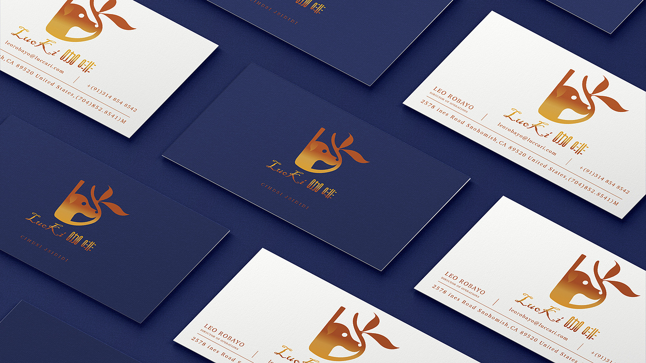 VIS视觉识别系统手册