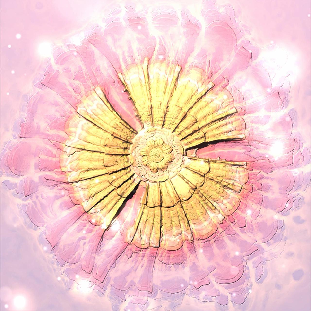 却让叶子动了心（图ZMzgxMjY5ODI0） - 动画/影视 - 站酷设计师未名云轩原创素材 - 站酷ZCOOL