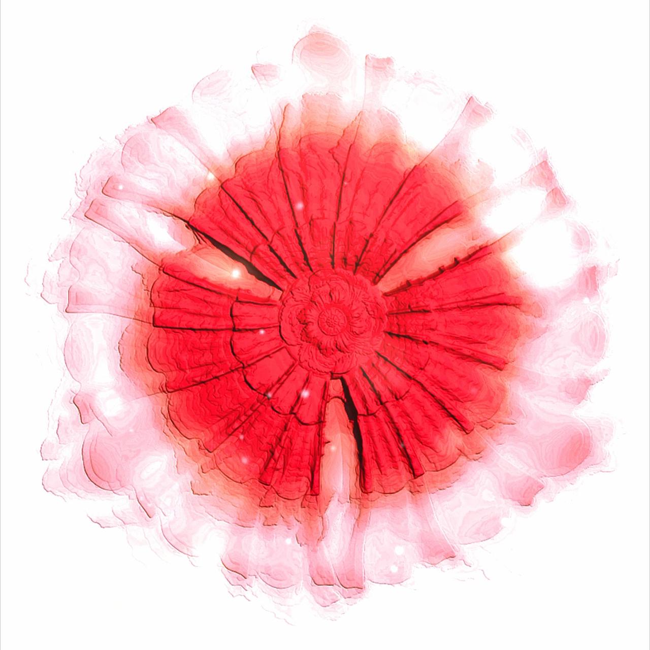 却让叶子动了心（图ZMzgxMjY5ODEy） - 动画/影视 - 站酷设计师未名云轩原创素材 - 站酷ZCOOL