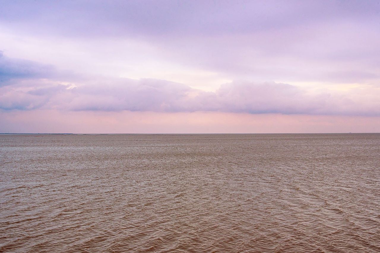东营黄河入海口
