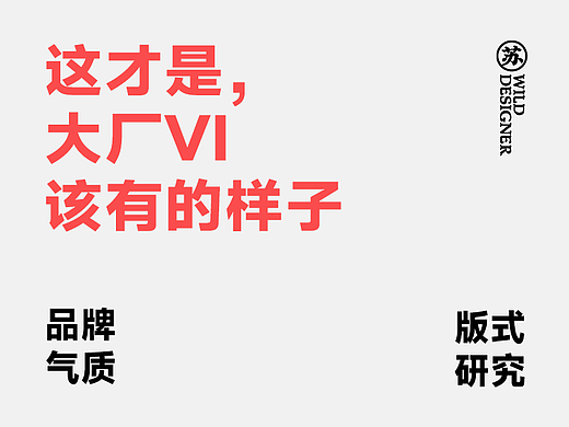 这才是大厂VI，该有的样子