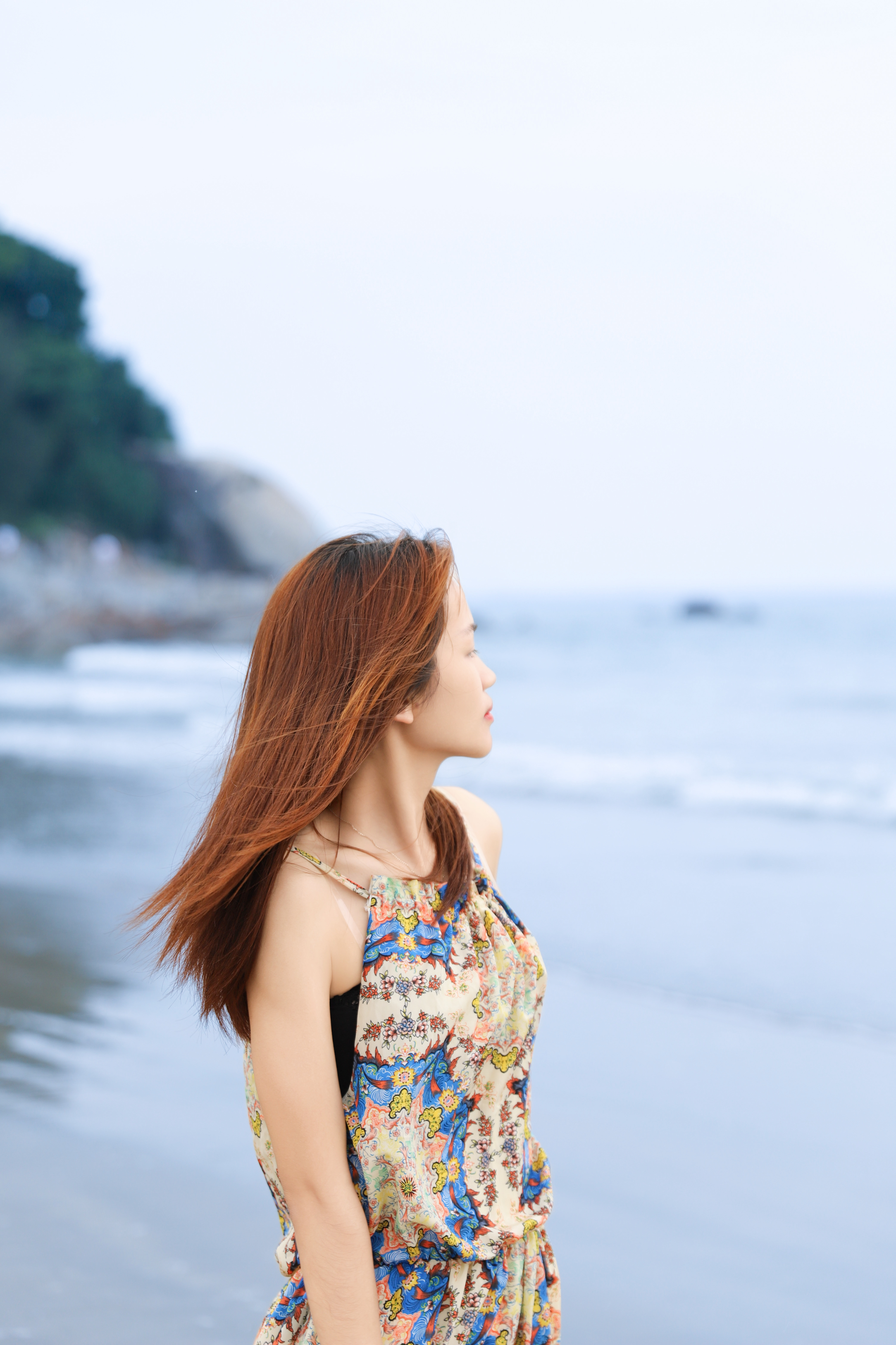 这整个海洋都是我的