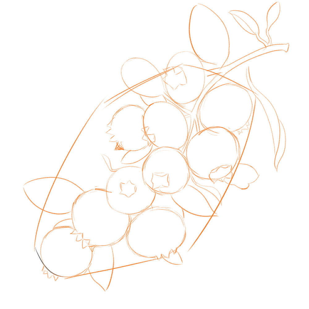 水果插画练习—蓝莓（图ZMzgxMjk0MTU2） - 创作习作 - 站酷设计师水月白原创素材 - 站酷ZCOOL