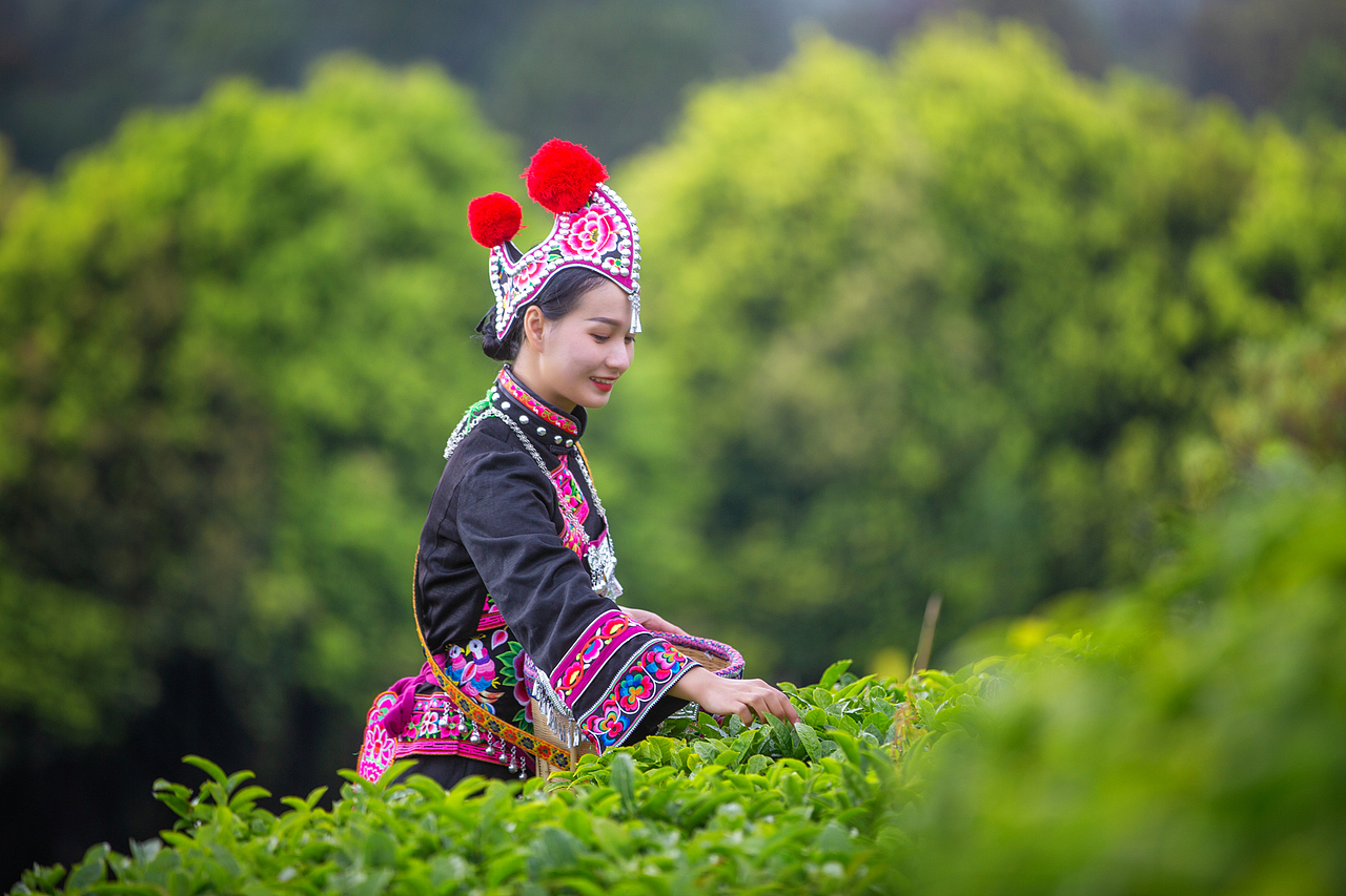 云茶山庄|商业人像
