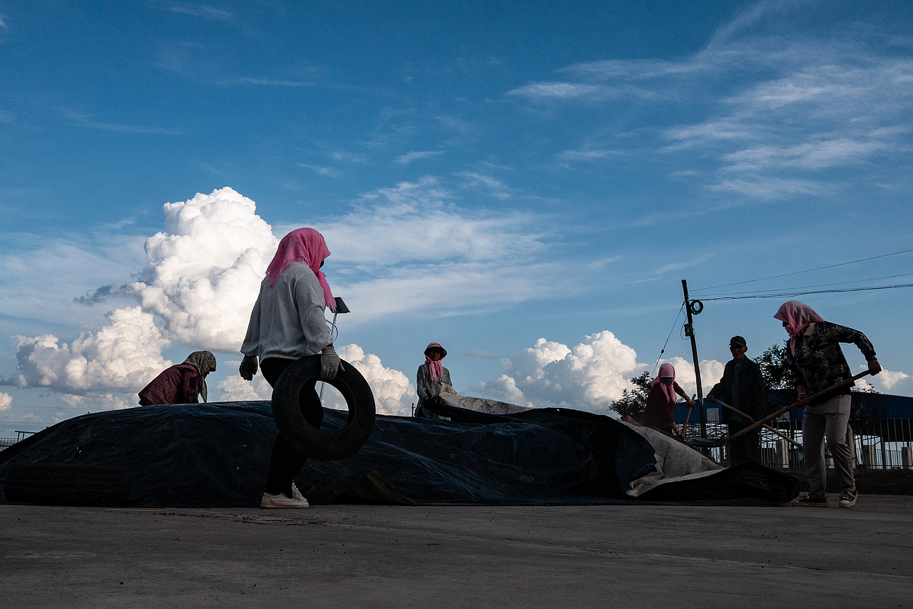 收工（圖ZMzgxMzMwNTg0） - 人文/紀(jì)實(shí)攝影 - 站酷設(shè)計(jì)師蕭關(guān)麥客原創(chuàng)素材 - 站酷ZCOOL