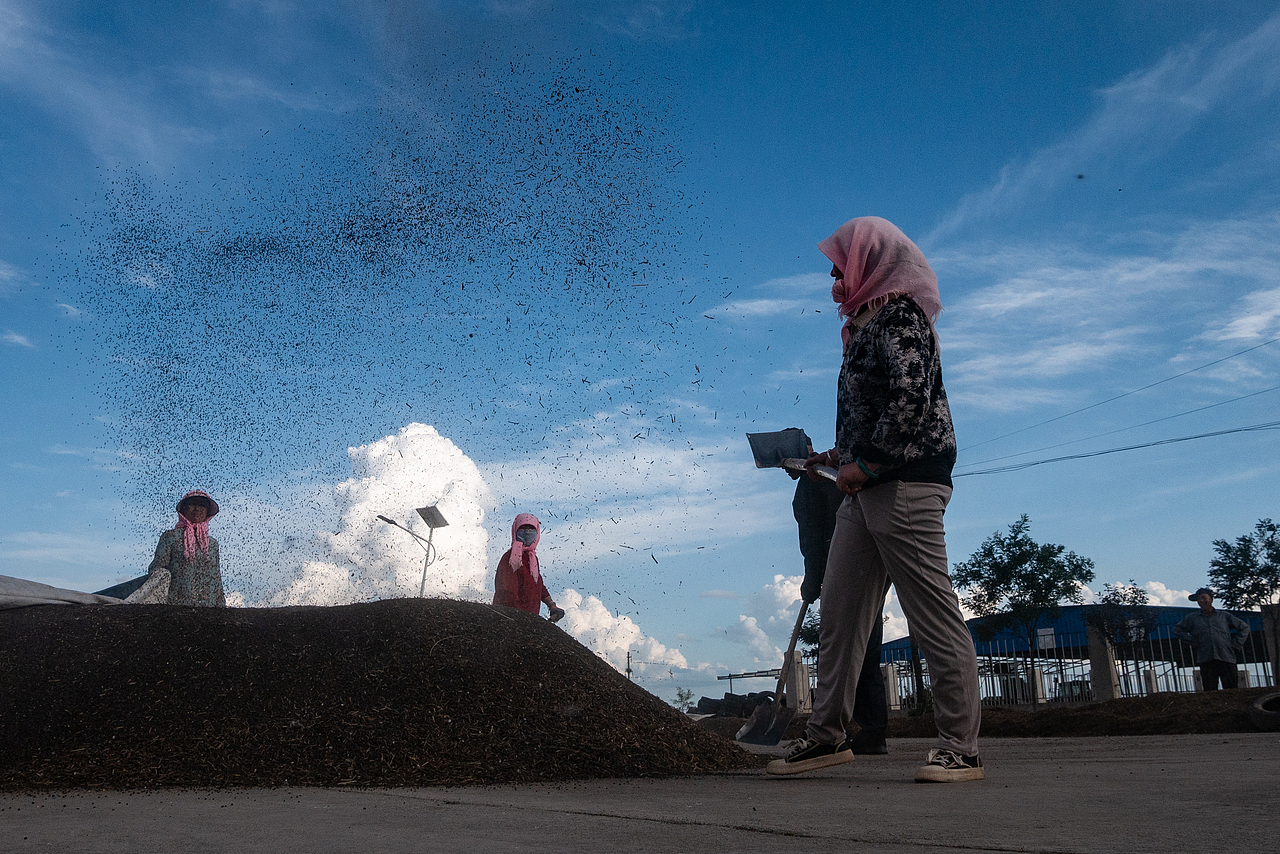 收工（圖ZMzgxMzMwNTk2） - 人文/紀(jì)實(shí)攝影 - 站酷設(shè)計(jì)師蕭關(guān)麥客原創(chuàng)素材 - 站酷ZCOOL