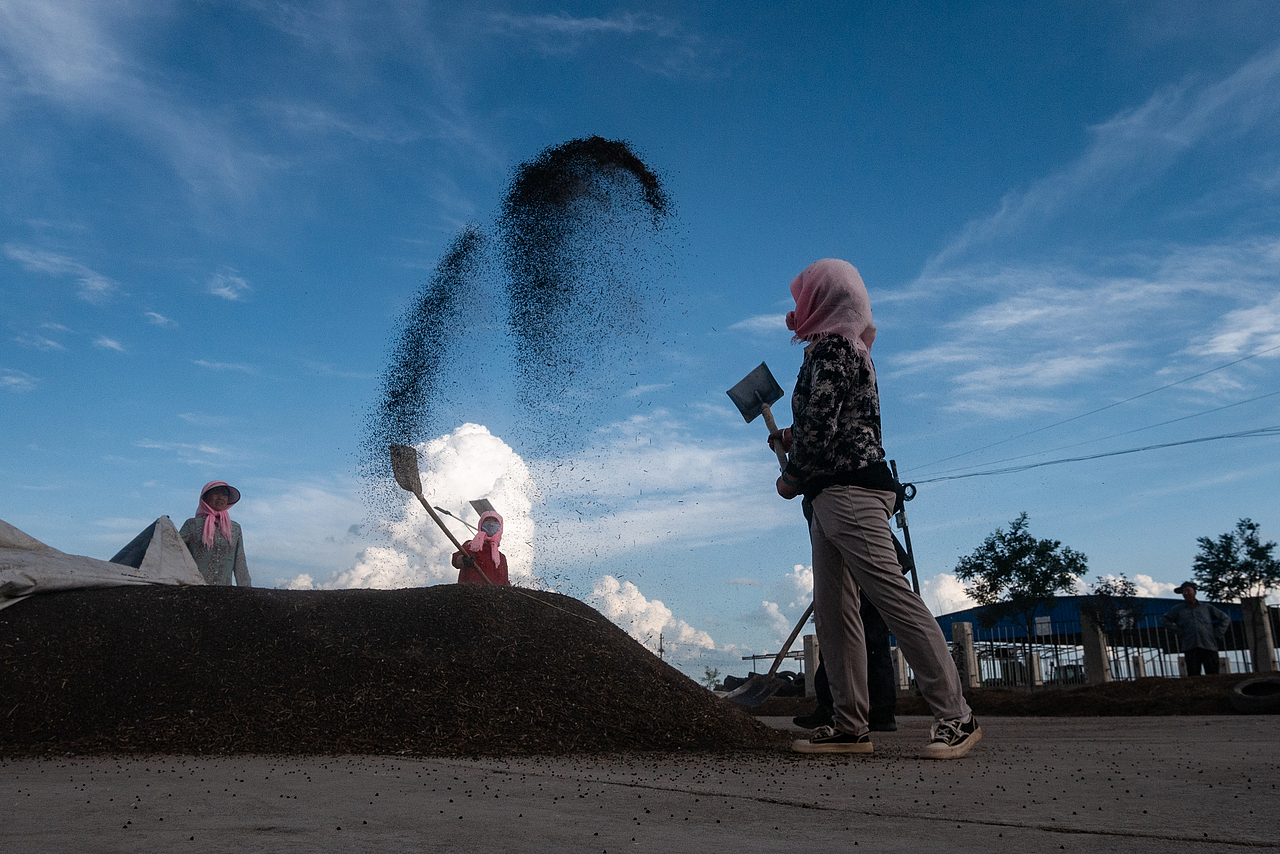收工（圖ZMzgxMzMwNjAw） - 人文/紀(jì)實(shí)攝影 - 站酷設(shè)計(jì)師蕭關(guān)麥客原創(chuàng)素材 - 站酷ZCOOL