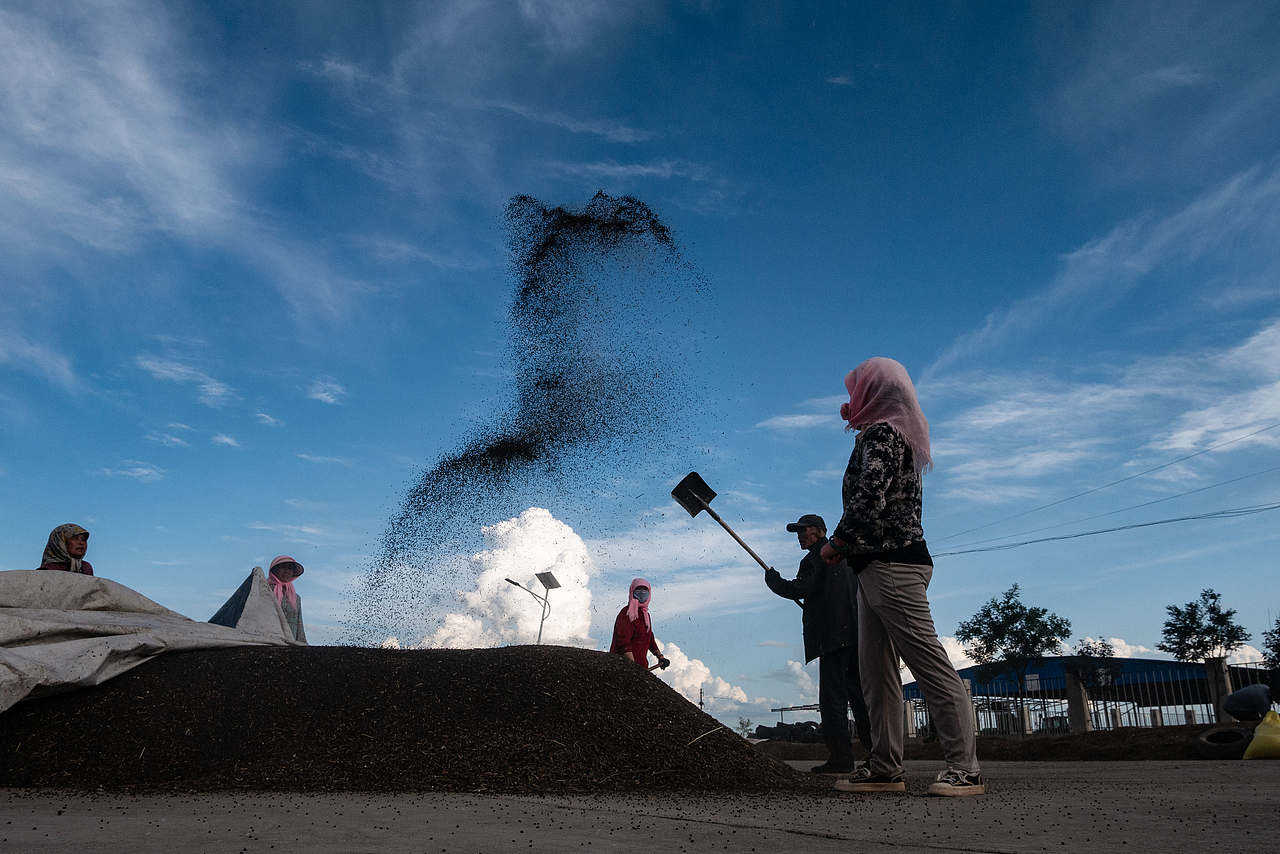 收工（圖ZMzgxMzMwNjIw） - 人文/紀(jì)實(shí)攝影 - 站酷設(shè)計(jì)師蕭關(guān)麥客原創(chuàng)素材 - 站酷ZCOOL