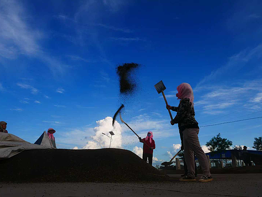 收工（個(gè)人主頁(yè)-ZNzA4NzEyNjg=） - 人文/紀(jì)實(shí)攝影 - 站酷設(shè)計(jì)師蕭關(guān)麥客原創(chuàng)素材 - 站酷ZCOOL