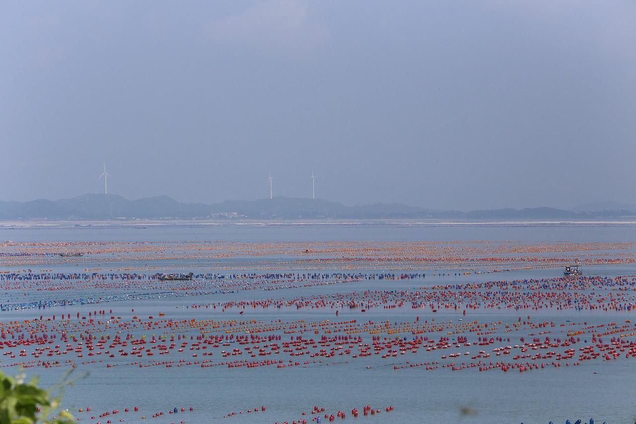 潮州的千里网箱