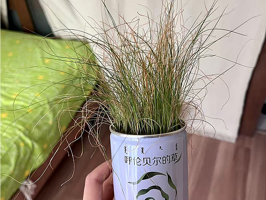 这叫：杂乱丛生