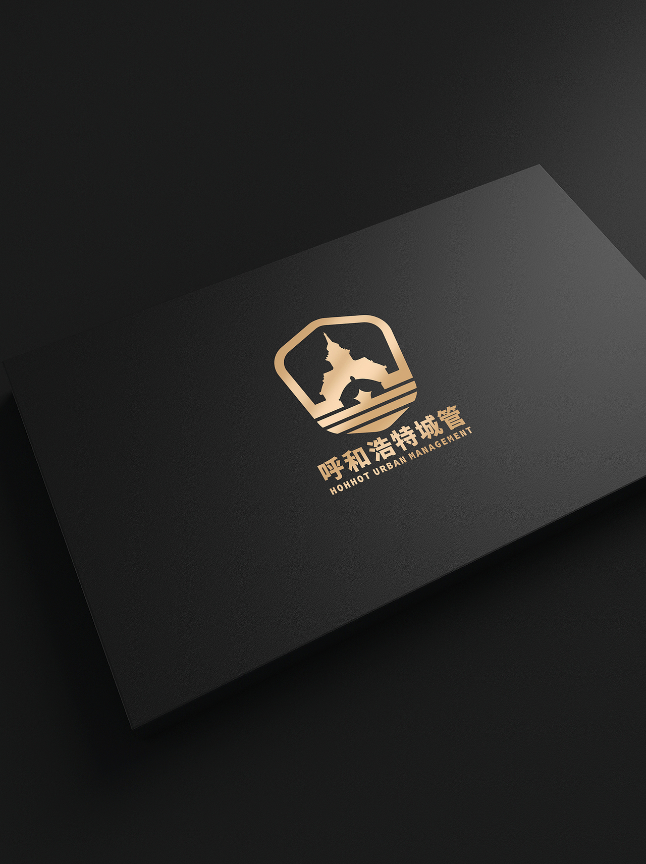 LOGO 政府文创类 城市管理局部门相关内容类 logo