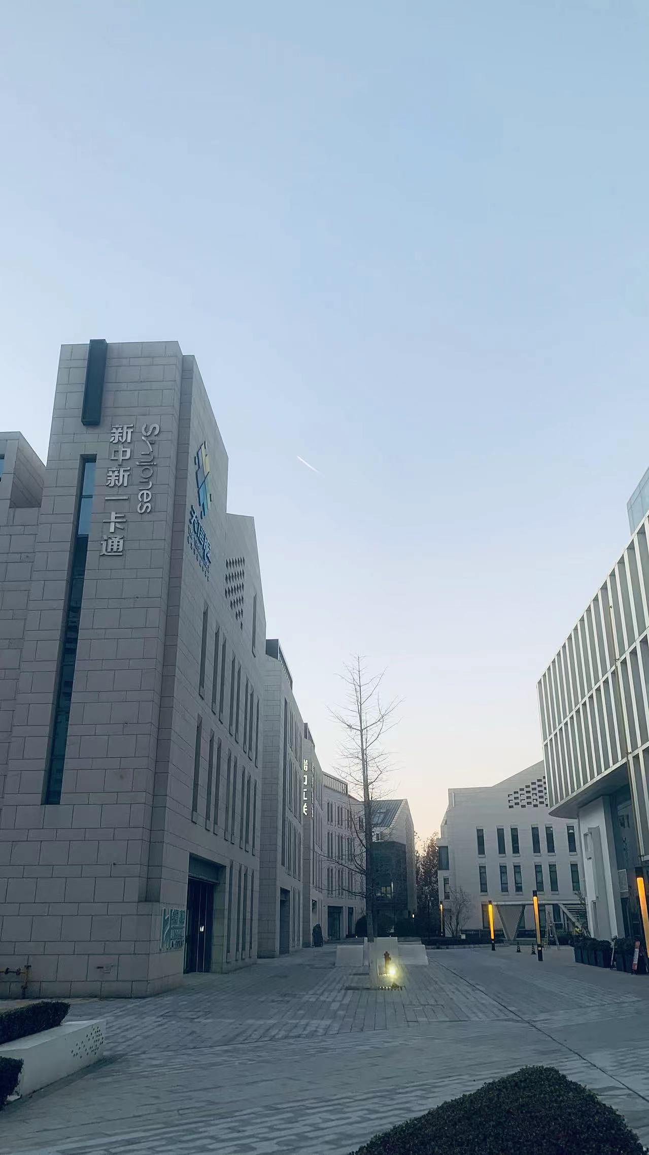 【随手记录】傍晚和飞机拉线儿