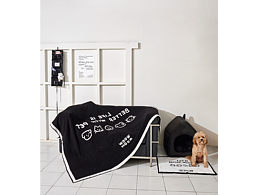 宠物毛毯拍摄    狗狗叫十一哈哈  一只很有趣的小狗